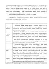 Vertybinių popierių rinkos sudėtis, vertė ir nauda 16 puslapis