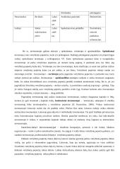 Vertybinių popierių rinkos sudėtis, vertė ir nauda 19 puslapis