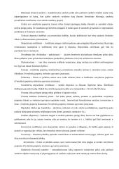 Vertybinių popierių rinkos sudėtis, vertė ir nauda 4 puslapis