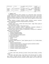 Virškinimas 2 puslapis