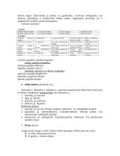 Virškinimas 3 puslapis