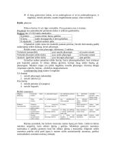 Virškinimas 4 puslapis