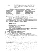 Virškinimas 6 puslapis