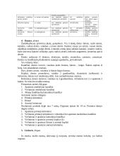 Virškinimo sistemos teorija 2 puslapis