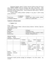 Virškinimo sistemos teorija 11 puslapis