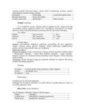 Virškinimo sistemos teorija 5 puslapis