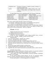 Virškinimo sistemos teorija 6 puslapis