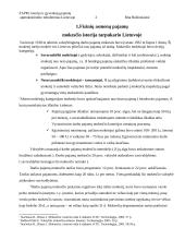 Fizinių asmenų pajamų mokestis: istorija ir gyventojų pajamų apmokestinimo tobulinimas Lietuvoje 2 puslapis