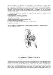 Mašinų remontas 16 puslapis