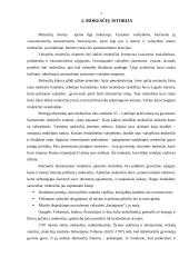 Mokesčiai, Lietuvos mokesčių sistema 7 puslapis