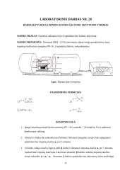 4-ių fizikos laboratorinių darbų ataskaitos 7 puslapis
