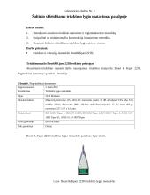 Aplinkos monitoringas 4 puslapis