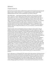 Medininkai. Istorijos referatas