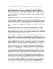 Meno istorijos egzamino klausimai