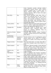 Civilizacijų paveldas ir sklaida 2 puslapis