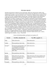 Darbo jėgos rinka Lietuvoje 11 puslapis