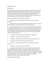 Senovės civilizacijų teorinė medžiaga