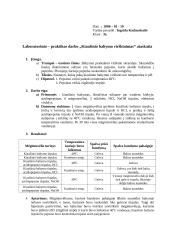 Kiaušinio baltymo virškinimas