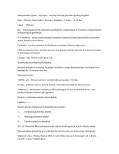 Mesopotamijos istorijos teorija
