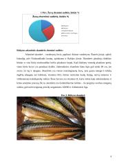 Rūkytos žuvies sudėties, savybių kitimo ir vertės analizė  4 puslapis