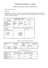 Matavimų teorijos ir praktikos darbų ataskaitos 8 puslapis