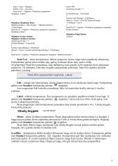 Objektinis programavimas - meniu komandos 3 puslapis