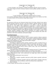 Optinės linijos tyrimas 3 puslapis