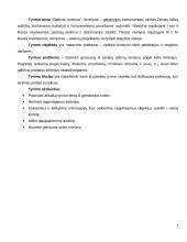 Optiniai nivelyrai 2 puslapis