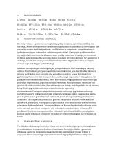 Laivo paruošimas miško pervežimui