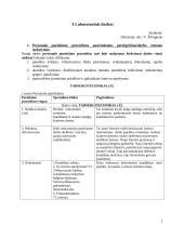 Personalo parinkimo procedūros