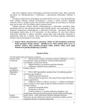 Personalo parinkimo procedūros 11 puslapis