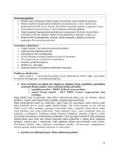 Personalo parinkimo procedūros 13 puslapis
