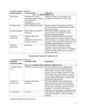 Personalo parinkimo procedūros 4 puslapis