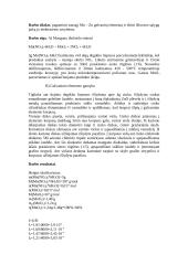 Sausasis Mn – Zn galvaninis elementas 2 puslapis