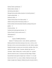 Rankinis. Žaidimo apibūdinimas
