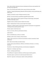 5-8 klasės terminai ir paaiškinimai
