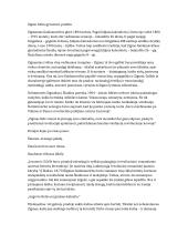 Apie Zigmą Gaidamavičių – Gėlę