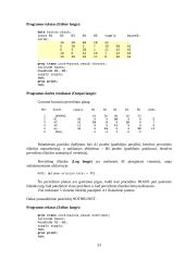 Transporto uždavinys matricinėje formoje 5 puslapis