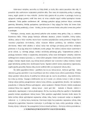 Valiutos kurso valdymas 3 puslapis