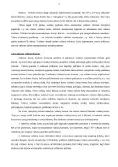 Valiutos kurso valdymas 7 puslapis