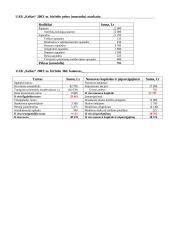 Apskaita: UAB "Kelias" 6 puslapis