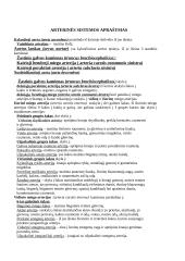 Arterinė sistema 8 puslapis