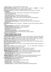 Arterinė sistema 9 puslapis