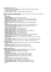 Arterinė sistema 10 puslapis