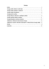 Atsargų auditas įmonių veikloje 2 puslapis