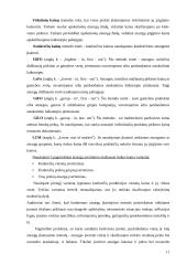 Atsargų auditas įmonių veikloje 11 puslapis