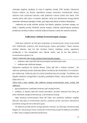 Atsargų auditas įmonių veikloje 12 puslapis
