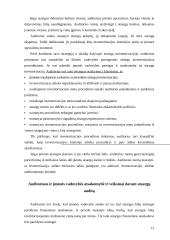 Atsargų auditas įmonių veikloje 13 puslapis