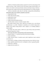 Atsargų auditas įmonių veikloje 14 puslapis