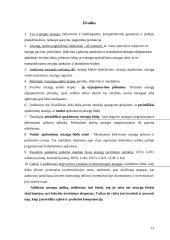 Atsargų auditas įmonių veikloje 15 puslapis